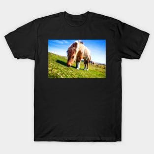 Dartmoor Ponies, Devon, UK T-Shirt